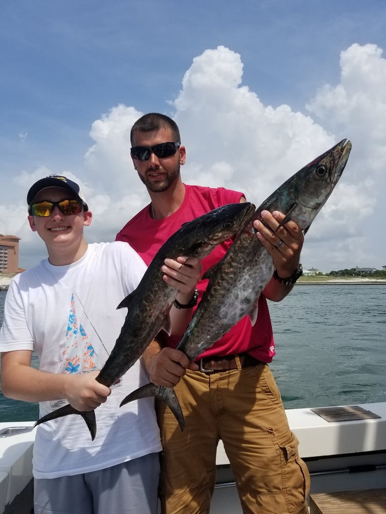 Trolling Or Bottom Fishing Orange Beach In Orange Beach