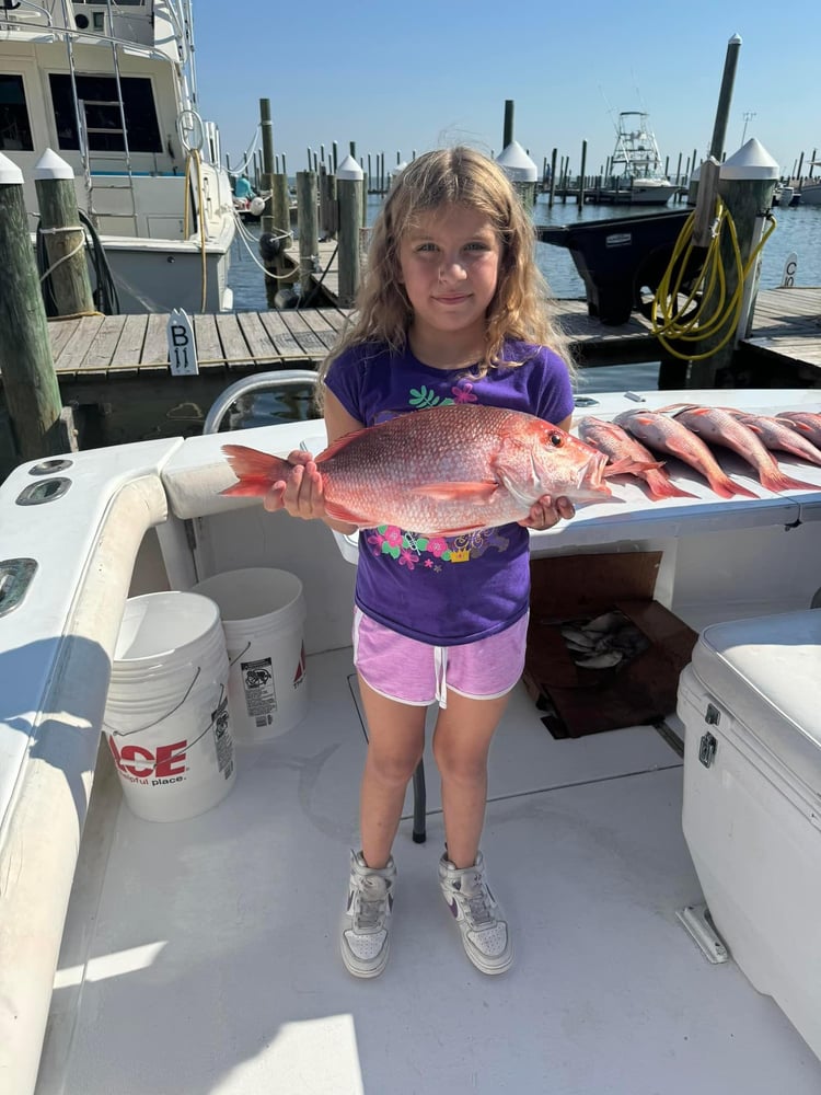 5 Hour Bottom Fishing & Trolling Trip In Gulf Shores