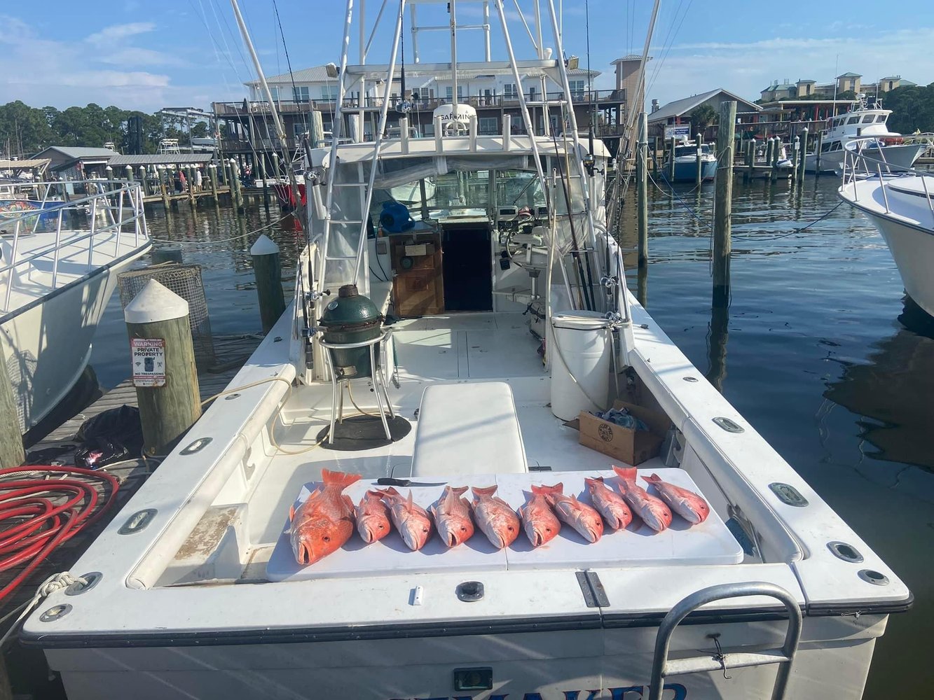 5 Hour Bottom Fishing & Trolling Trip In Gulf Shores