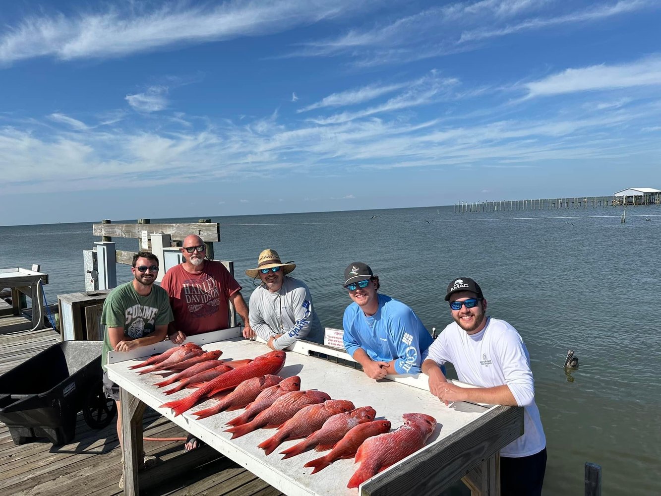 5 Hour Bottom Fishing & Trolling Trip In Gulf Shores