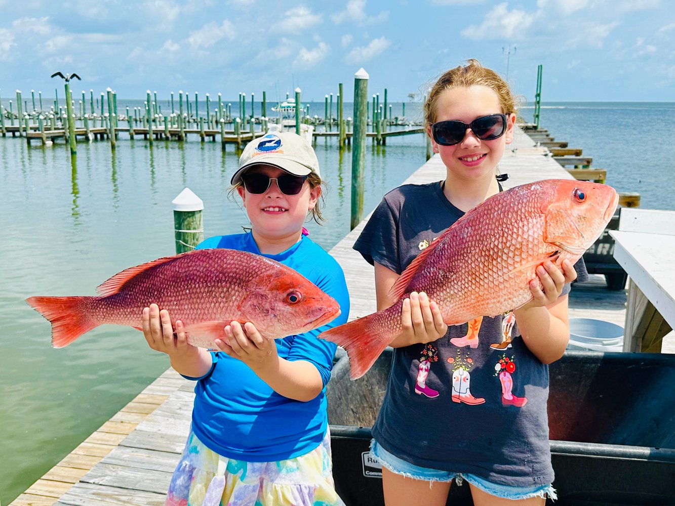 5 Hour Bottom Fishing & Trolling Trip In Gulf Shores