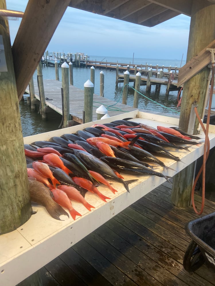 Extended Offshore Fishing Trips In Gulf Shores