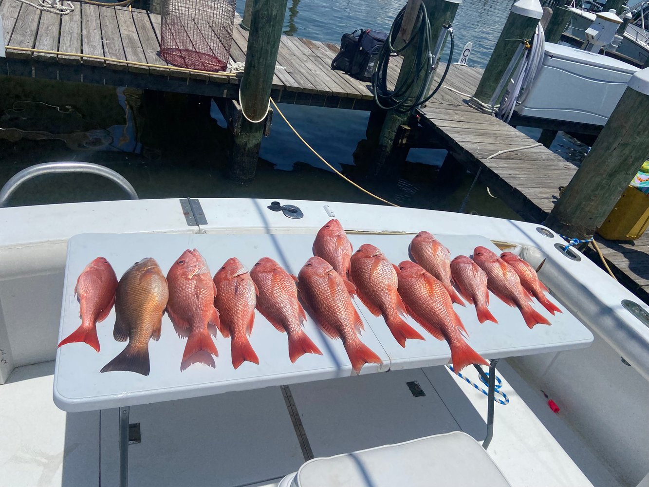 Offshore Jigging / Trolling In Gulf Shores