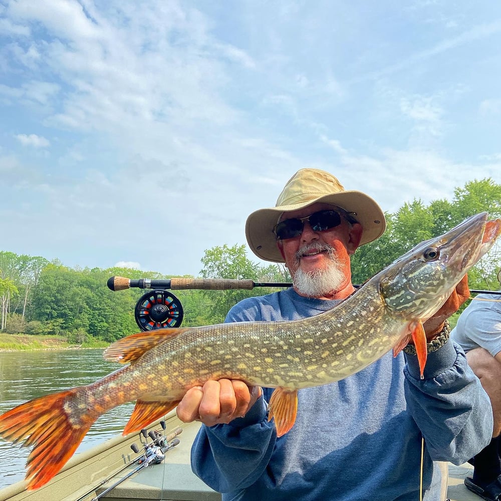 Full Day Fishing In Newaygo