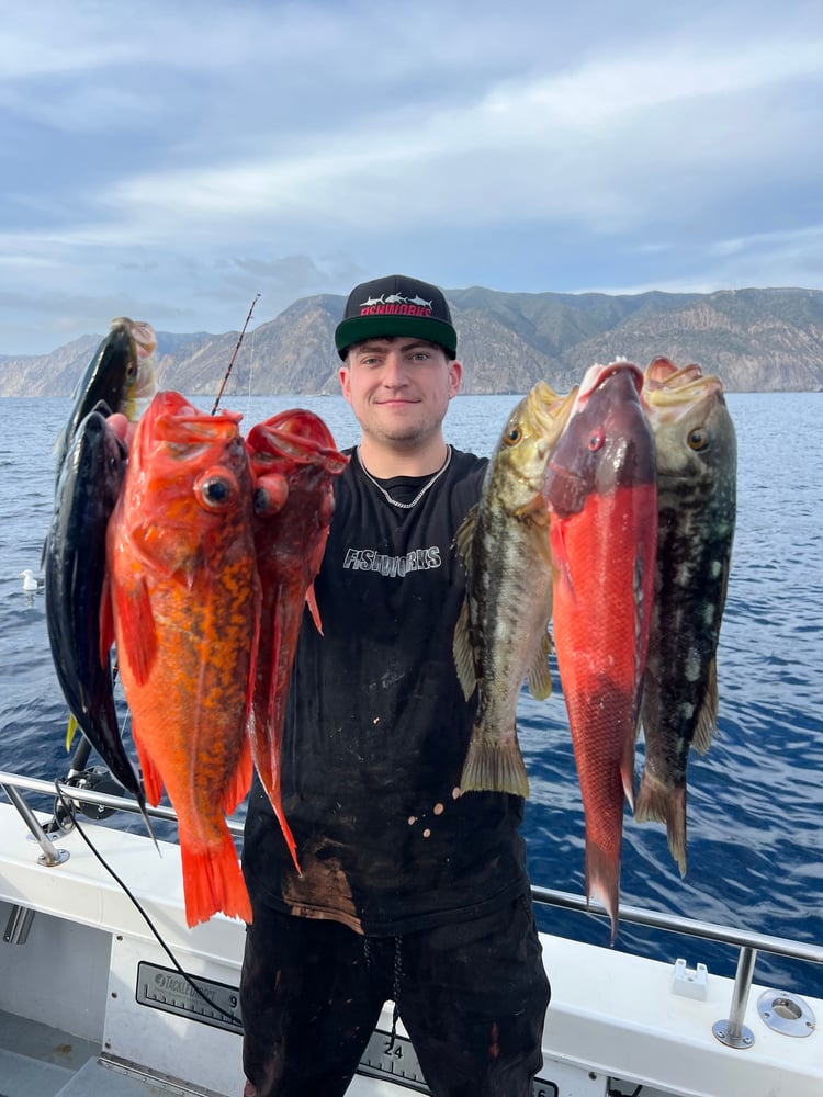 11 Hour Catalina Fishing  Experience In Los Angeles