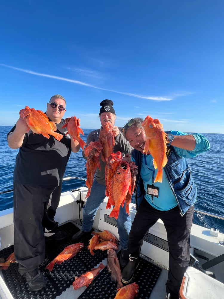 11 Hour Catalina Fishing  Experience In Los Angeles