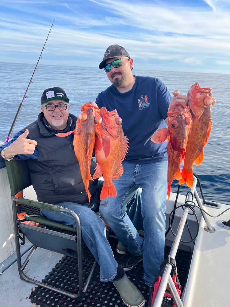 11 Hour Catalina Fishing  Experience In Los Angeles