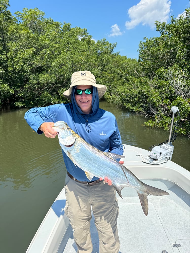 Tarpon Fishing In Belleair Bluffs