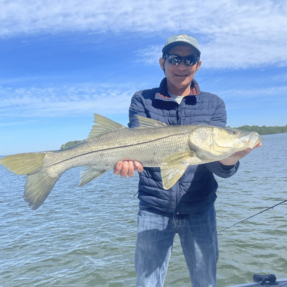 Inshore Fishing In Treasure Island