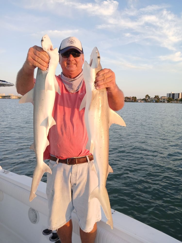 Inshore Fishing In Treasure Island