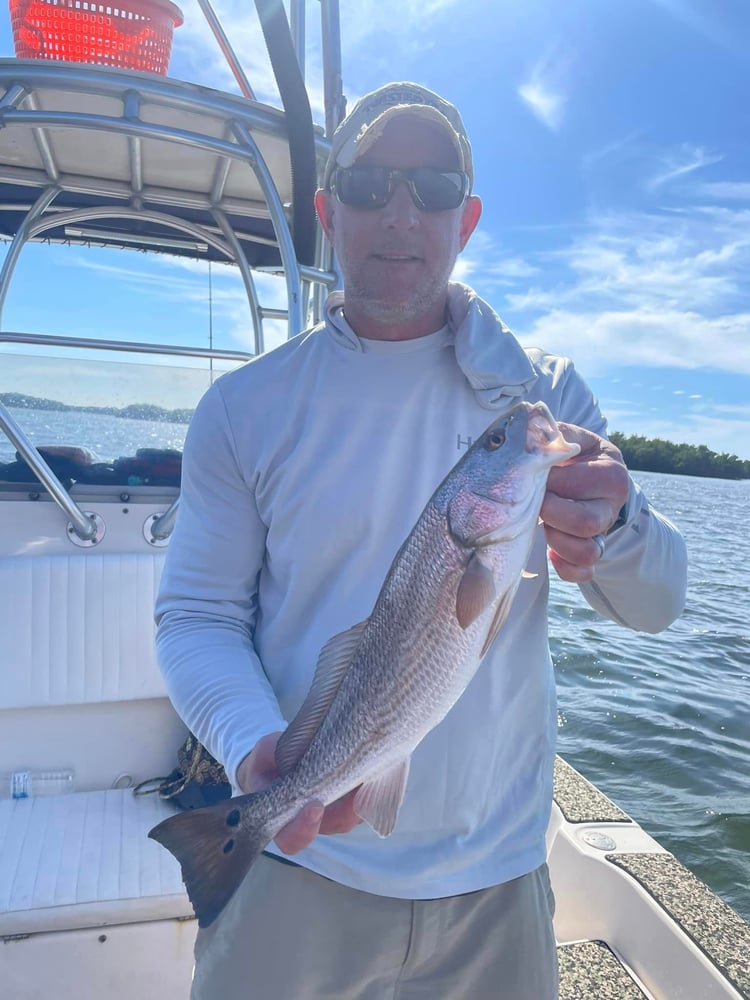 Inshore Fishing In Treasure Island