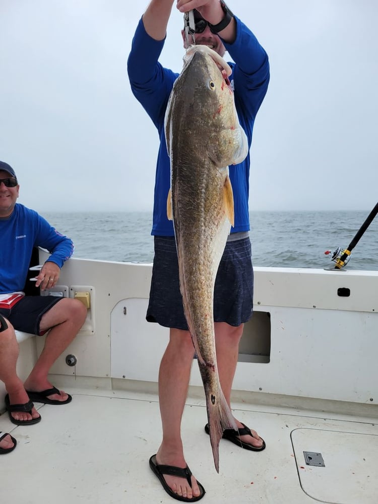 Jetty Cuddy-Cabin 5hr In Galveston