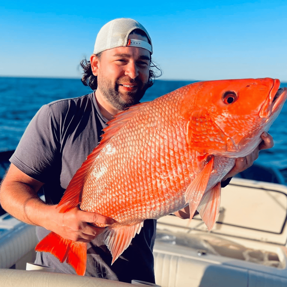 Jetty Cuddy-Cabin 5hr In Galveston