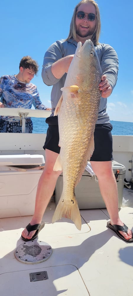 Jetty Cuddy-Cabin 5hr In Galveston