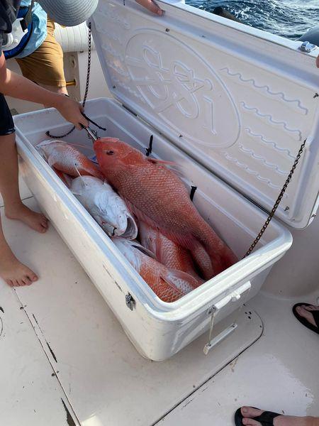 Jetty Cuddy-Cabin 5hr In Galveston