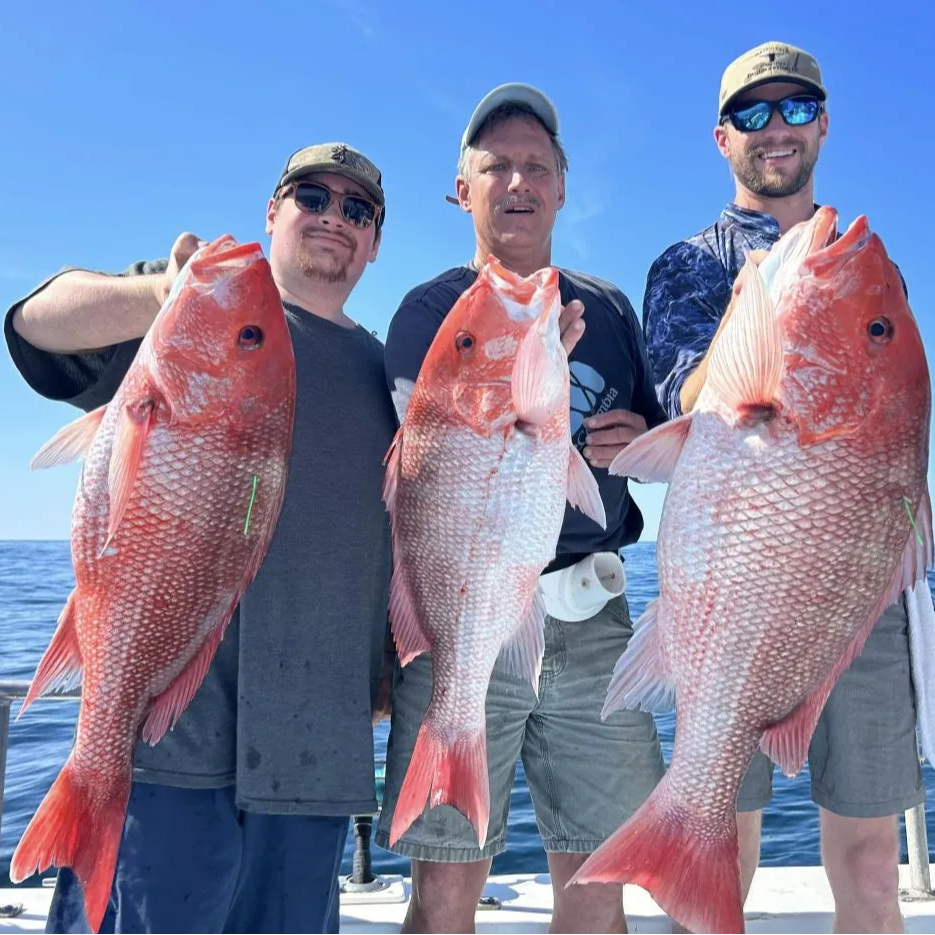 Deep Blue Water 12 Hour In Galveston