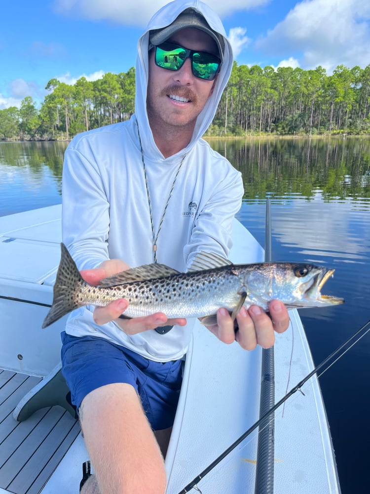 6-Hour Inshore In Panama City Beach