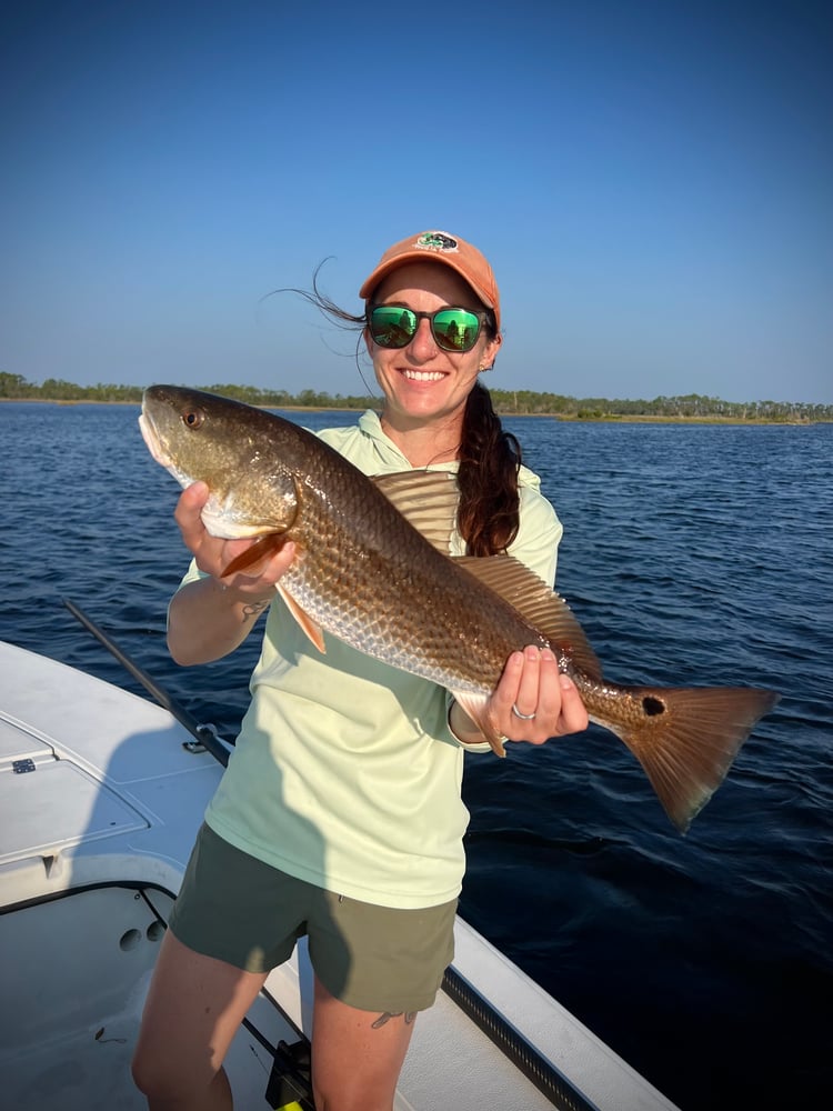 6-Hour Inshore In Panama City Beach