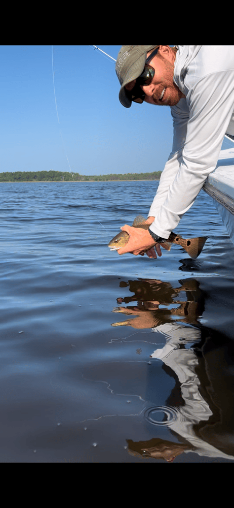 6-Hour Inshore In Panama City Beach