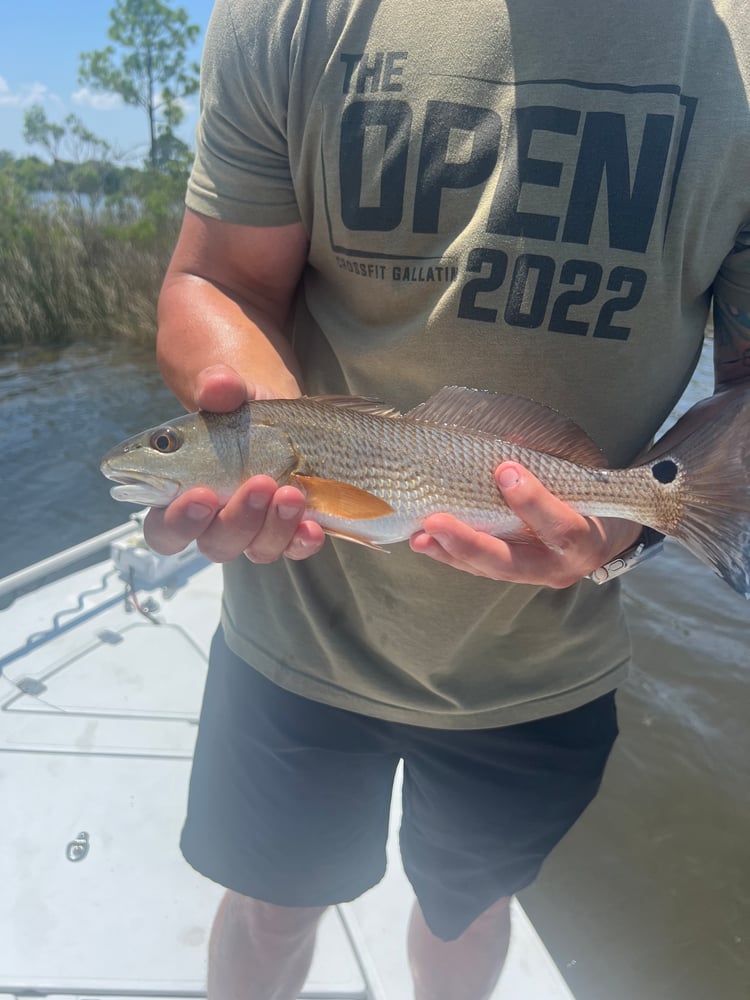 6-Hour Inshore In Panama City Beach