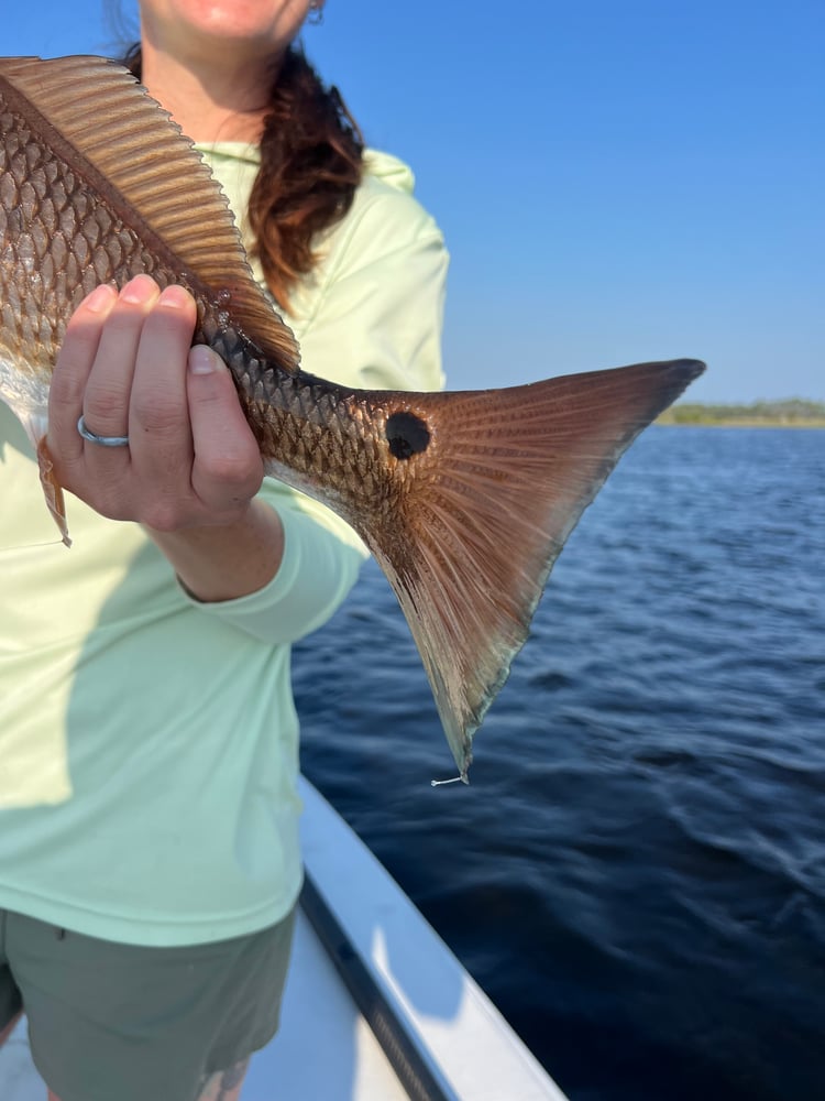 6-Hour Inshore In Panama City Beach