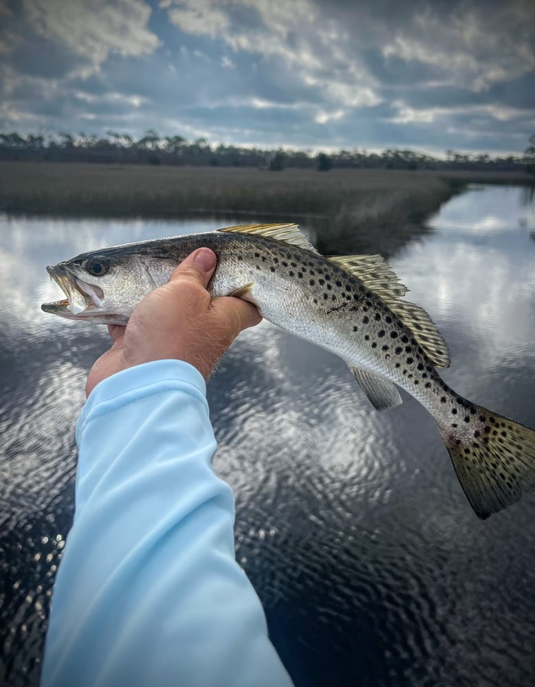 6-Hour Inshore In Panama City Beach