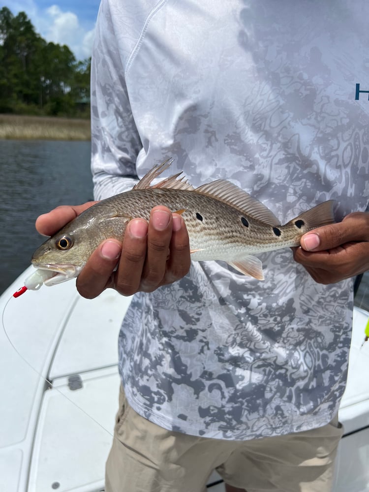 6-Hour Inshore In Panama City Beach