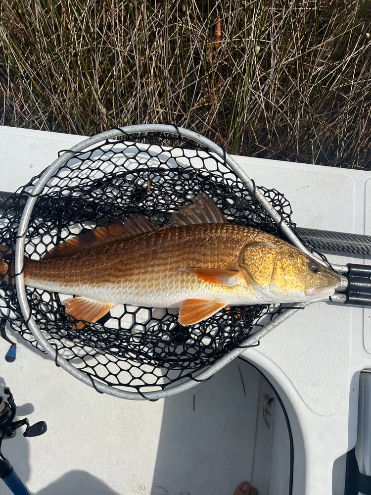 6-Hour Inshore In Panama City Beach