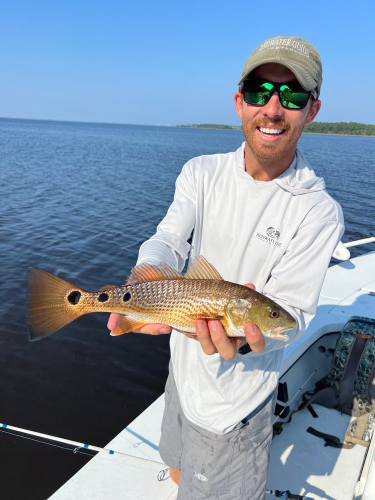 6-Hour Inshore In Panama City Beach