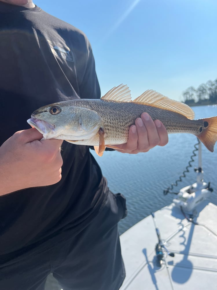 6-Hour Inshore In Panama City Beach