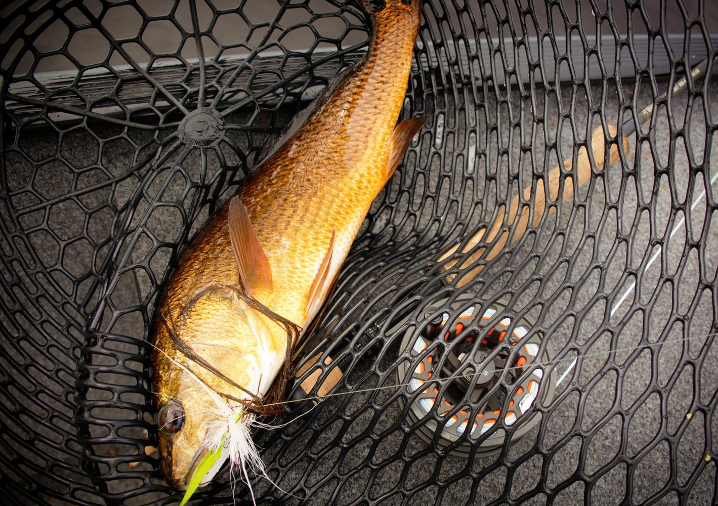 6-Hour Inshore In Panama City Beach