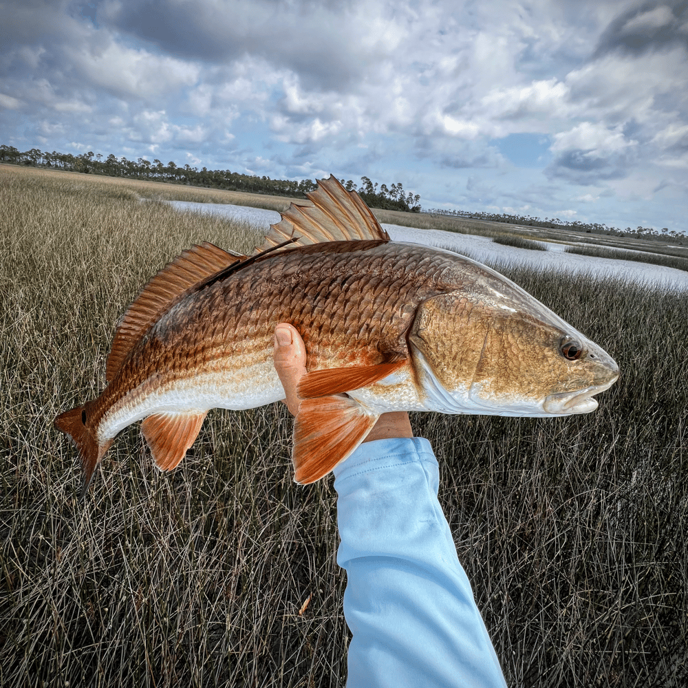 8-Hour Inshore In Panama City Beach