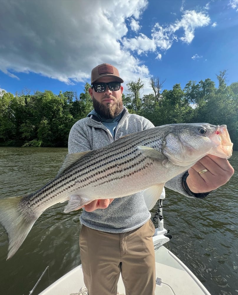 Inshore Adventures In North Topsail Beach