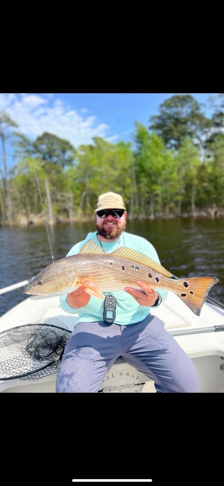 Inshore Adventures In North Topsail Beach