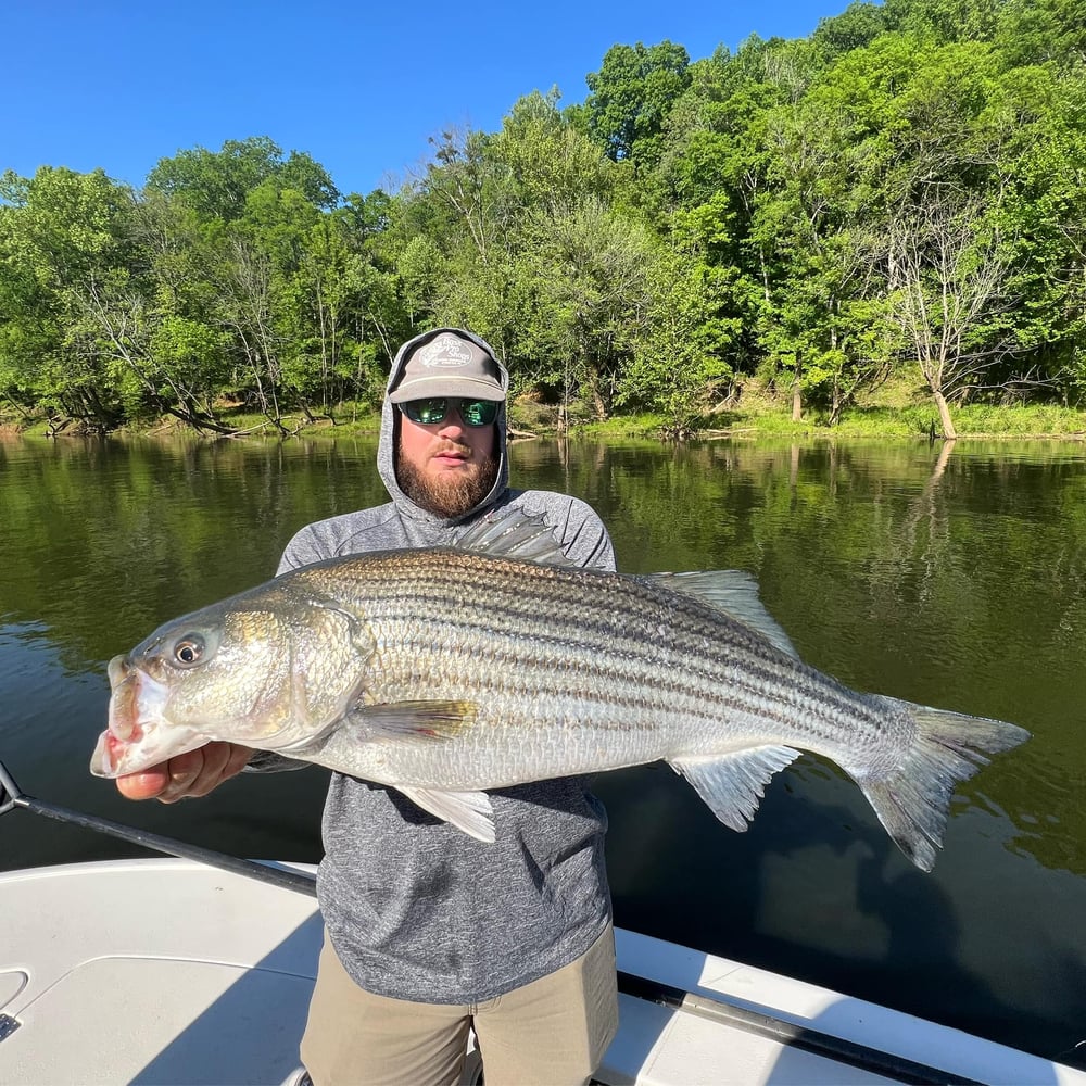 Inshore Adventures In North Topsail Beach