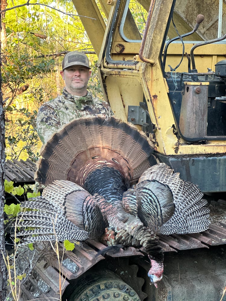 Turkey Hunt In Amelia City