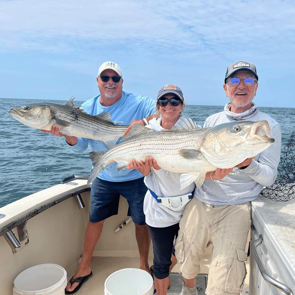 Half Day Trip: Inshore In Montauk