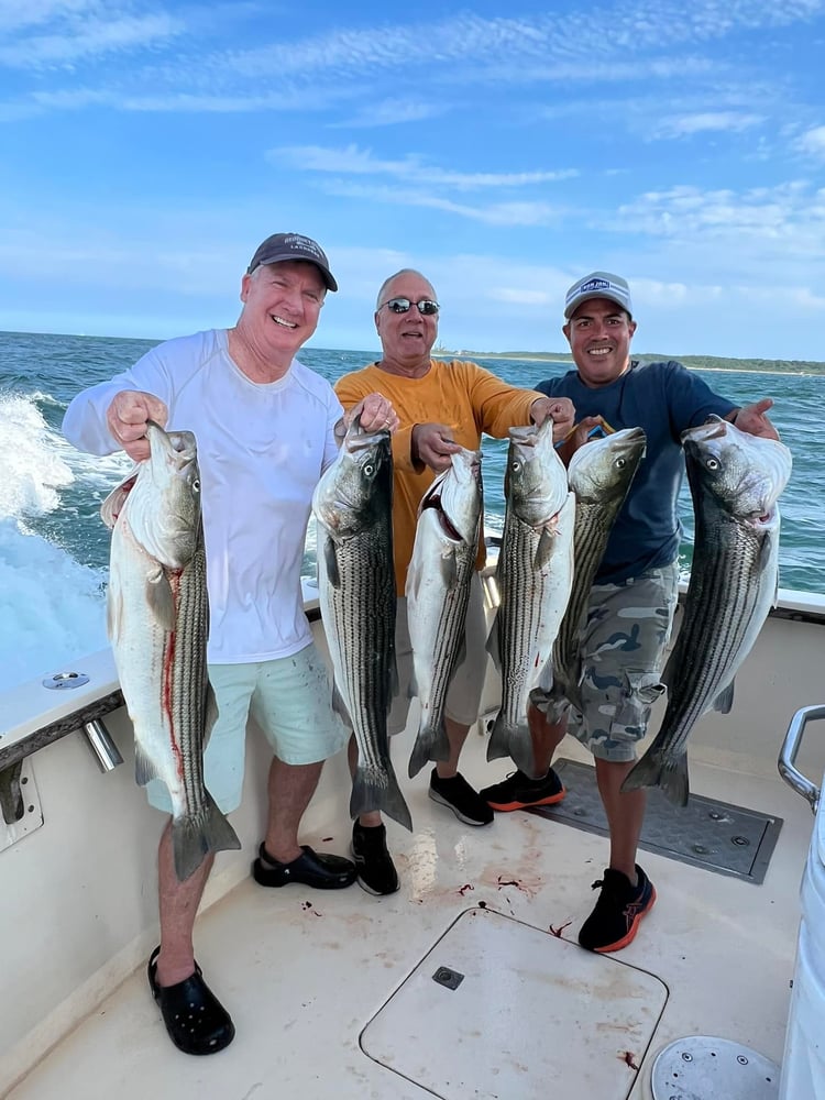 Half Day Trip: Inshore In Montauk