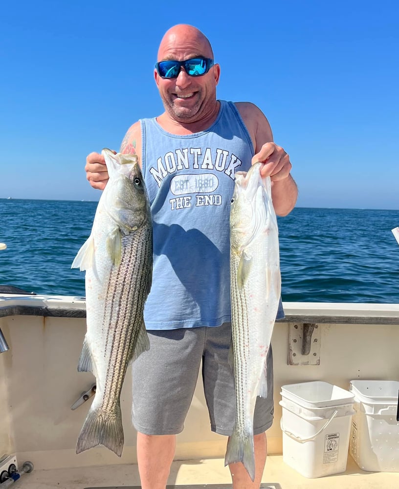 Half Day Trip: Inshore In Montauk