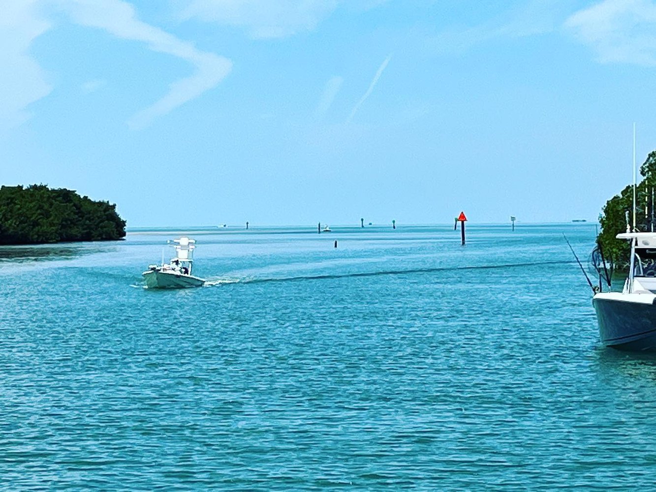 Reef Snapper Trip In Marathon