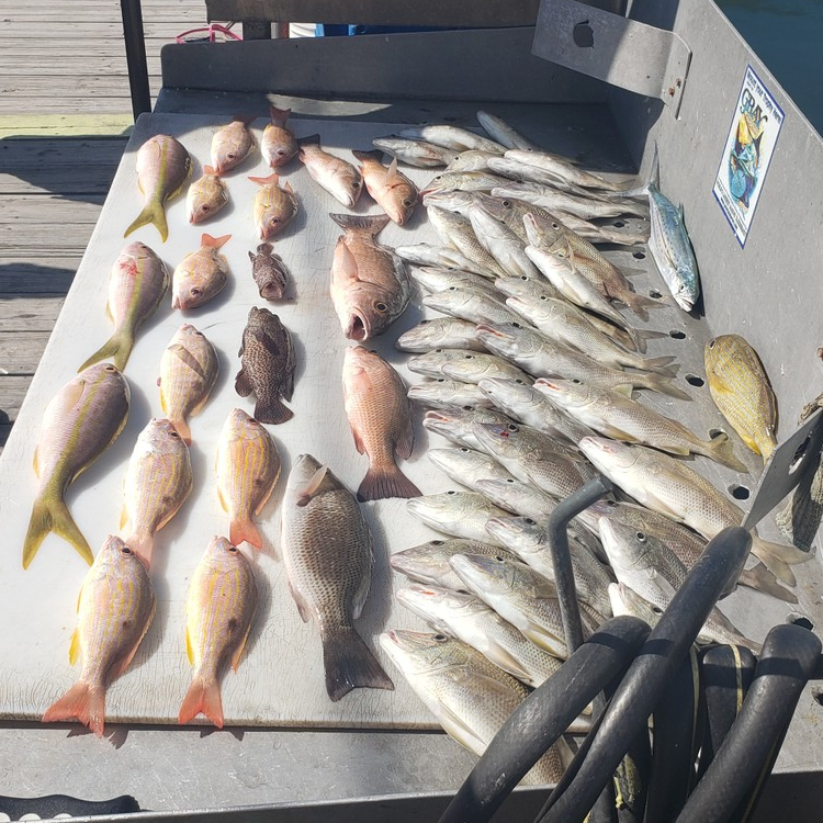 Reef Snapper Trip In Marathon