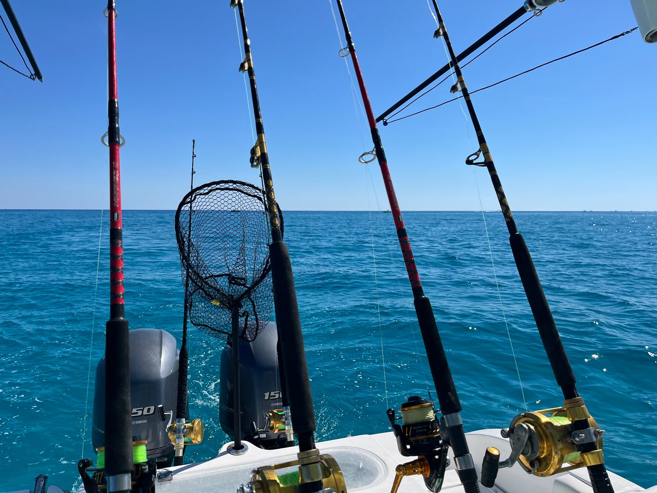 Reef Snapper Trip In Marathon