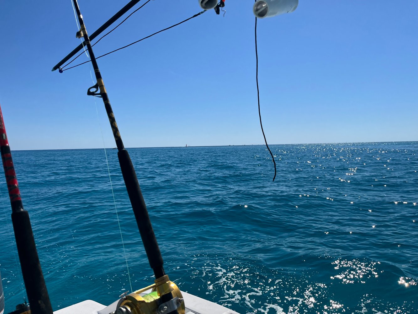 Reef Snapper Trip In Marathon