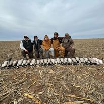 Texas Panhandle Goose Hunt In Lubbock