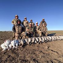 Texas Panhandle Goose Hunt In Lubbock