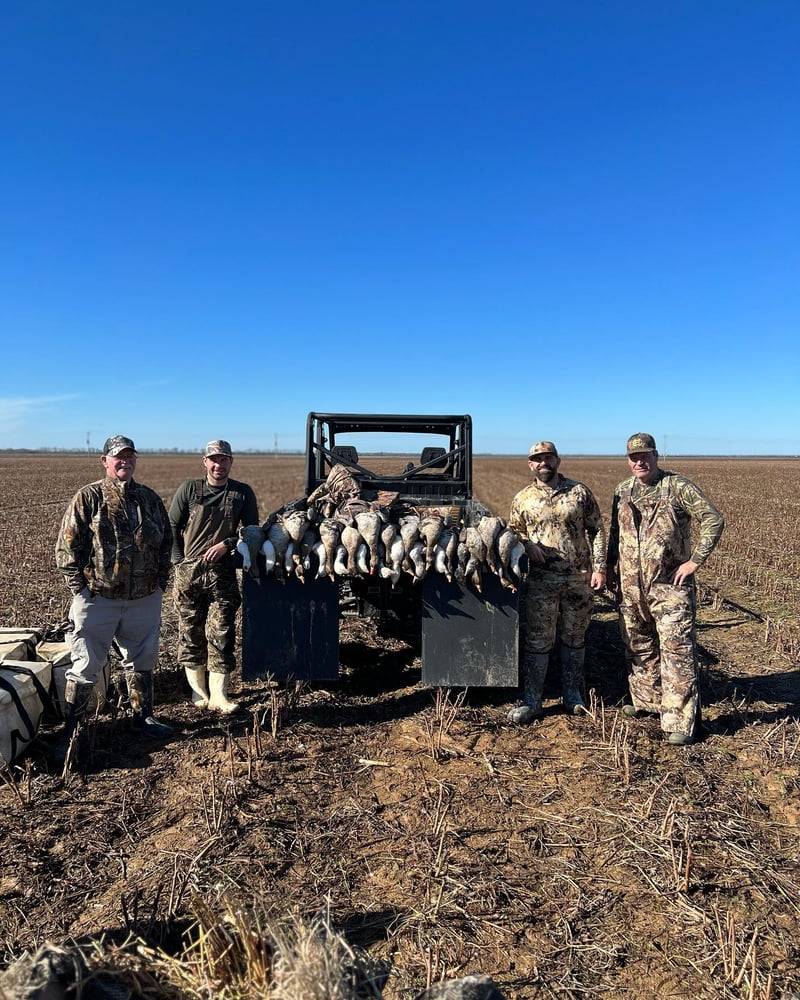 Goose Hunts W/ Meals & Lodging In Lake Village