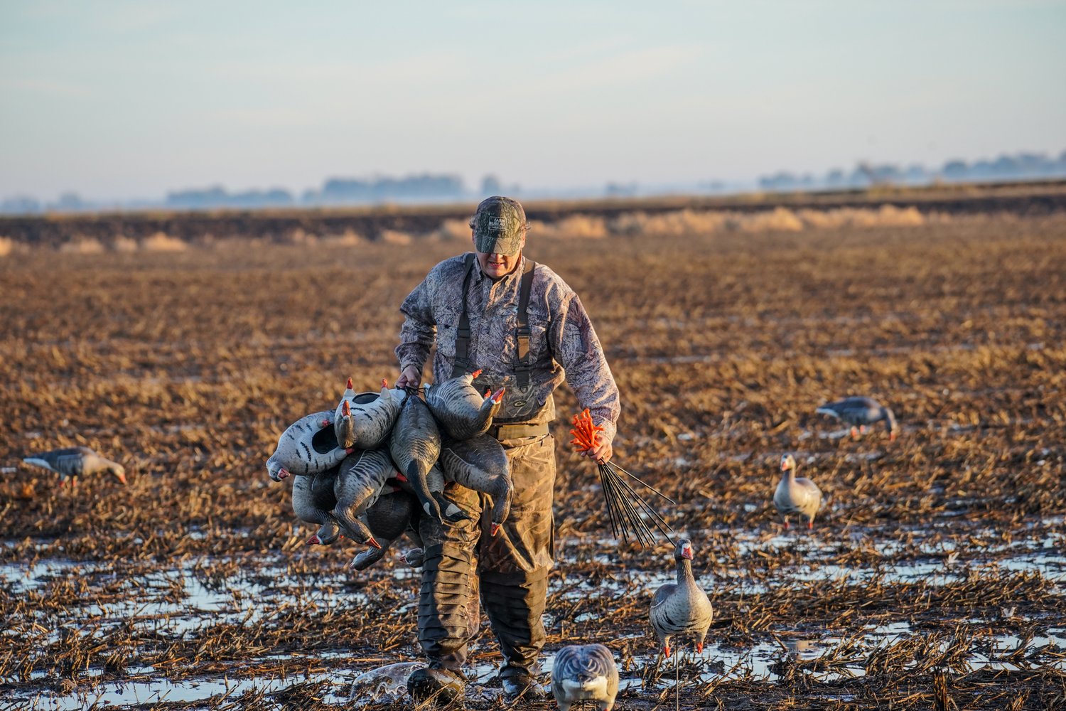 Goose Hunts W/ Meals & Lodging In Lake Village