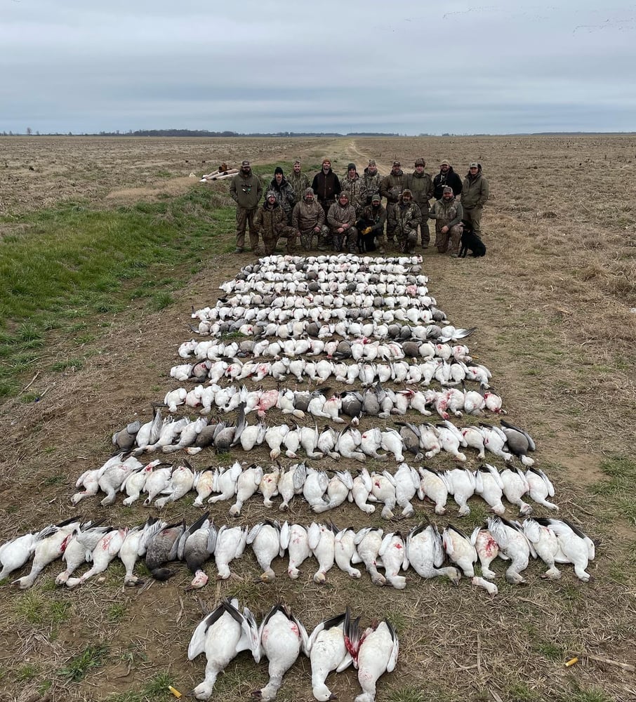 Goose Hunts W/ Meals & Lodging In Lake Village