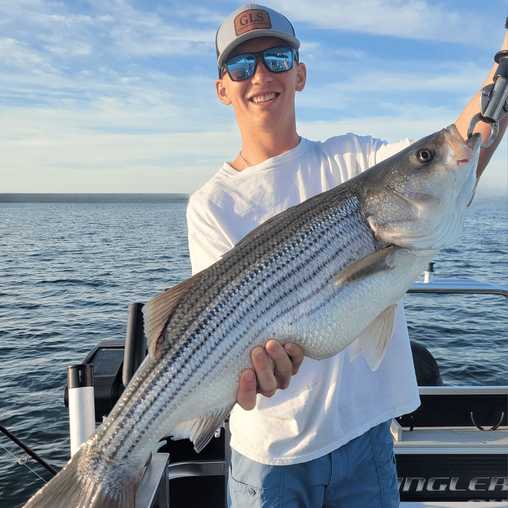 Half Day Lake Martin Fishing Excursion In Dadeville