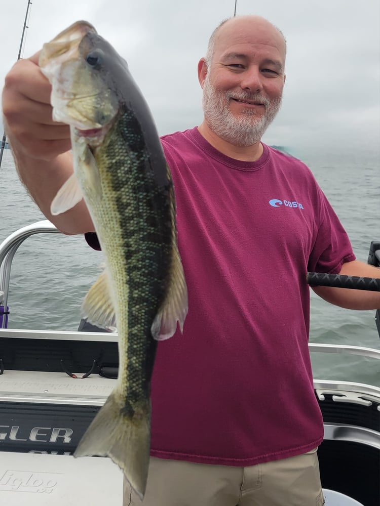 Half Day Lake Martin Fishing Excursion In Dadeville